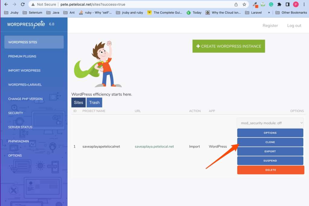 clone_a_wordpress_site_fast1