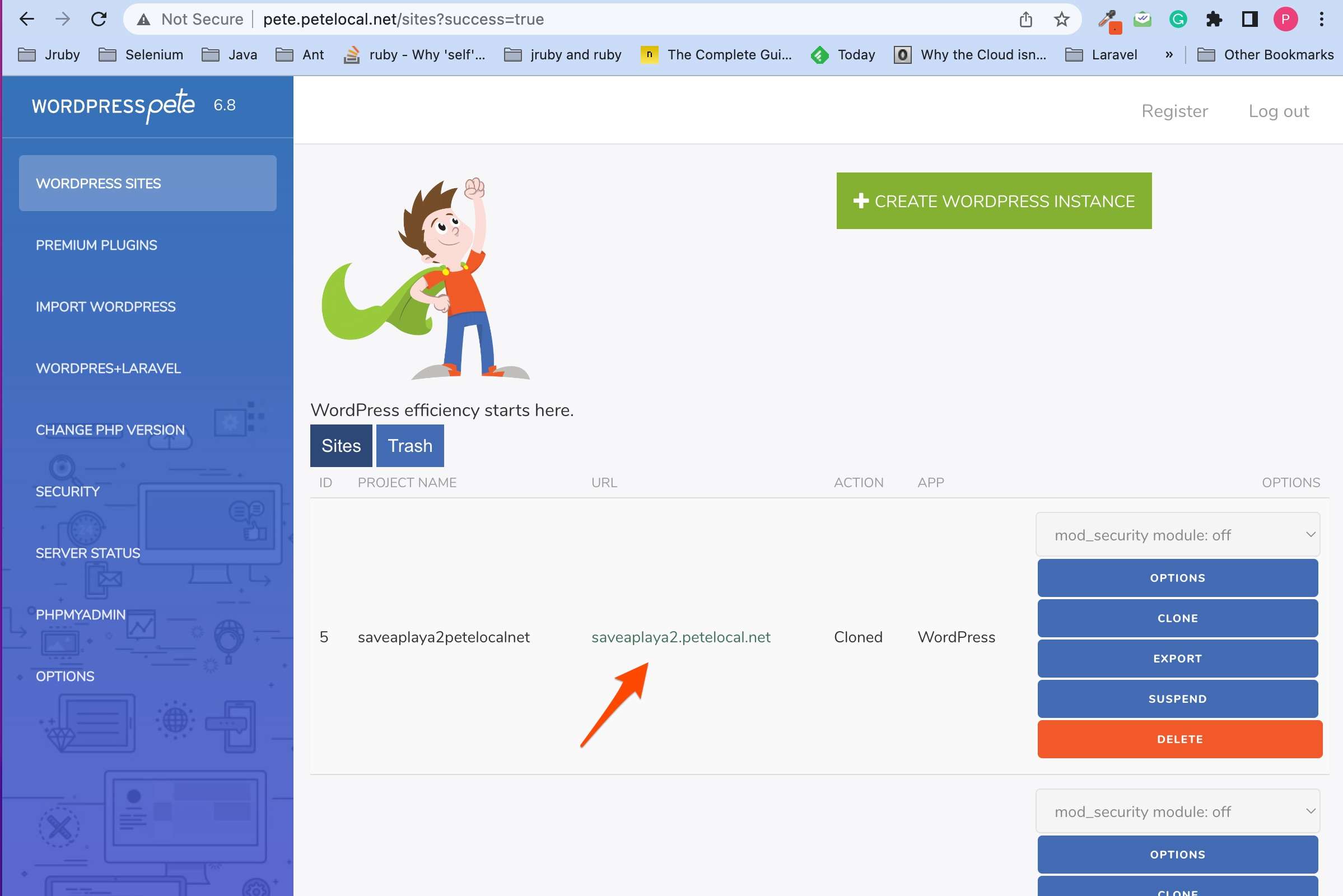 clone_a_wordpress_site_fast3