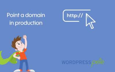 Point a domain to a WordPress Pete in production environment